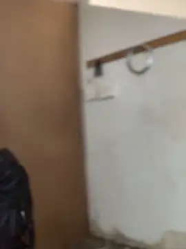 Ndodemnyamaxh online show from 12/20/25, 06:04