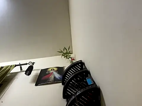 jishnu878 online show from 11/24/25, 03:45