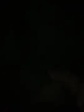 Manfredini607452 online show from 11/18/25, 12:49