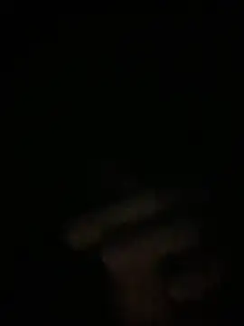 Manfredini607452 online show from 11/26/25, 12:44