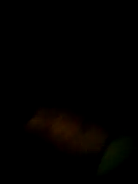 Yerackhip online show from 03/09/26, 12:47