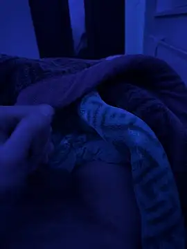 Snapshot of jafop098864 chatting on 03/02/26, 03:20 jafop098864 online show from 03/02/26, 03:20