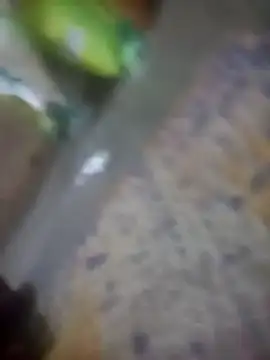 Jooli cuty online show from 11/11/25, 07:47