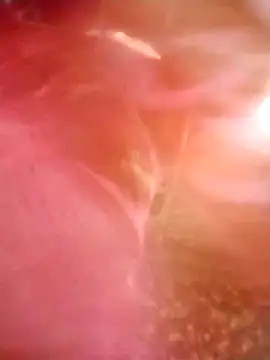 Jooli cuty online show from 03/14/26, 02:28