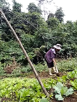 be-yeu online show from 11/05/25, 02:22