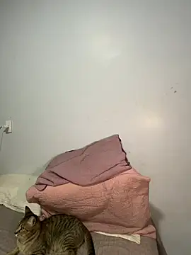 lele inocente online show from 03/11/26, 12:16