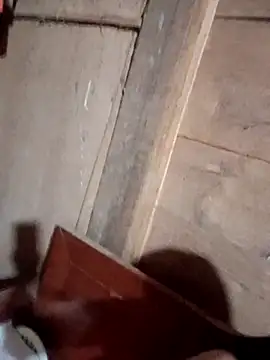 Bee-bgolden online show from 11/12/25, 04:07