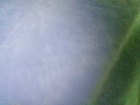 Snapshot of Ramzes1992Analog chatting on 11/05/25, 01:05 Ramzes1992Analog online show from 11/05/25, 01:05