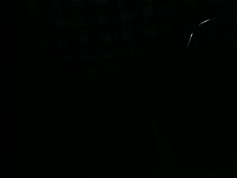 ellsaBunny online show from 11/06/25, 01:28