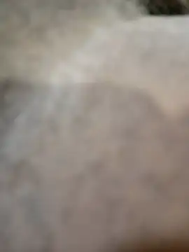 Telonet online show from 04/19/26, 10:14