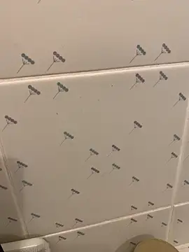 takekichi online show from 03/25/26, 08:31