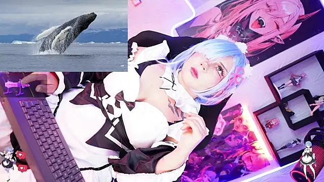 Noha-- online show from 11/17/25, 12:55