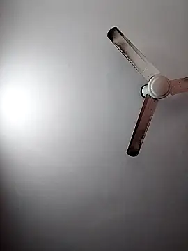 Snapshot of Keya-009 chatting on 03/01/26, 04:36 Keya-009 online show from 03/01/26, 04:36