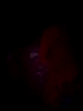 jacka 305 online show from 11/22/25, 10:36