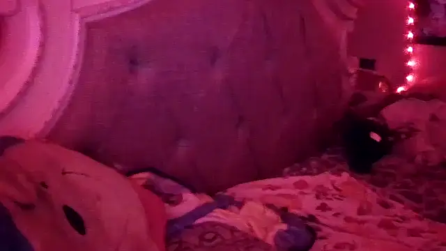 Dusaa  online show from 02/18/26, 09:38