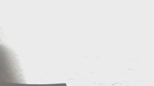 Calavera2001 online show from 12/16/25, 05:01