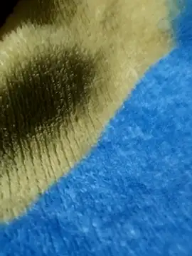 Snapshot of GG23MVP chatting on 11/30/25, 05:22 GG23MVP online show from 11/30/25, 05:22