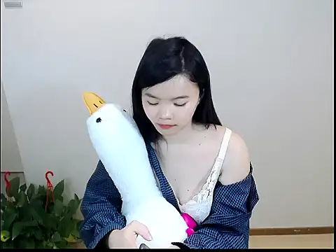 Shaurk online show from 02/01/26, 03:49