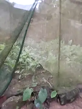 gugu0022 online show from 02/25/26, 11:25