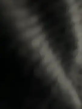 kangro 80 online show from 12/01/25, 11:26