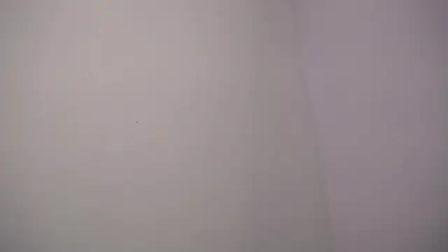 selene rouse  online show from 11/14/25, 10:07