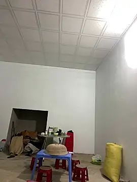 pitty mymi online show from 03/17/26, 11:19