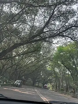 Snapshot of sexyayeshadesi chatting on 11/20/25, 05:29 sexyayeshadesi online show from 11/20/25, 05:29