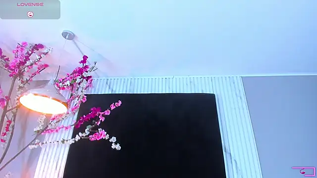 arya alaya cr online show from 11/24/25, 11:54