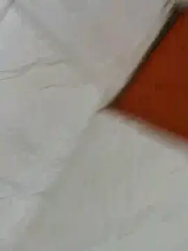 sucre69pb online show from 12/17/25, 01:17