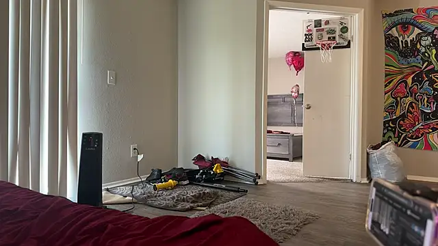 stellakobra online show from 03/22/26, 05:49