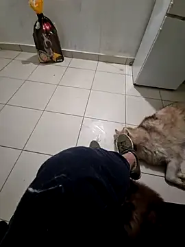 Snapshot of RITAEGIH chatting on 03/02/26, 08:04 RITAEGIH online show from 03/02/26, 08:04