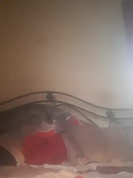 Shivona online show from 11/28/25, 03:53