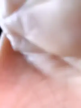 Cat-meow online show from 11/25/25, 02:44