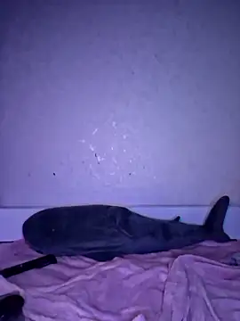 carolinakis  online show from 12/18/25, 08:26