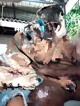 Snapshot of chathu_danu chatting on 12/01/25, 09:53 chathu danu online show from 12/01/25, 09:53