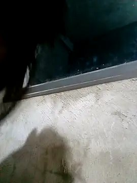 Snapshot of Ava-120 chatting on 02/17/26, 03:08 Ava-120 online show from 02/17/26, 03:08