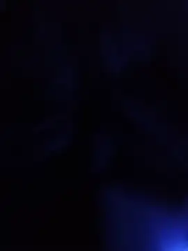 starnighcouple online show from 07/10/26, 07:38