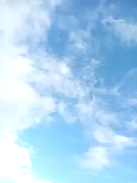 juunioreest online show from 01/10/26, 10:47