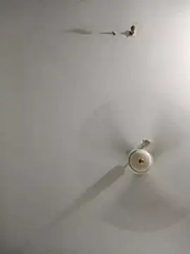 Snapshot of rupamim chatting on 03/26/26, 09:09 rupamim online show from 03/26/26, 09:09