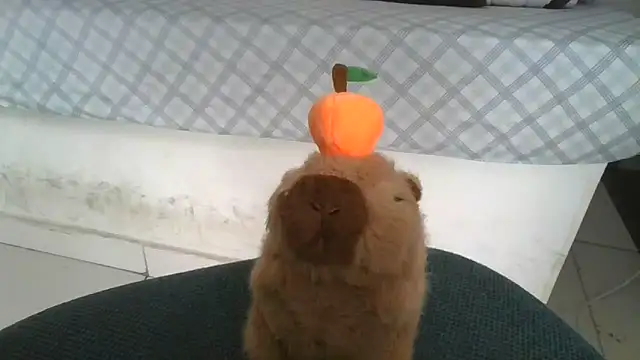 Satanatrix online show from 02/09/26, 01:04