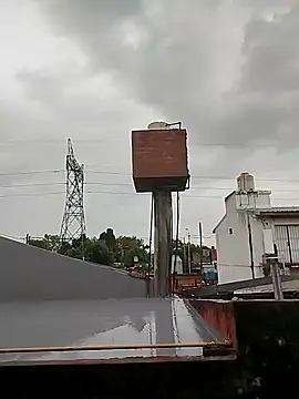 reynaafro93 online show from 11/20/25, 07:35