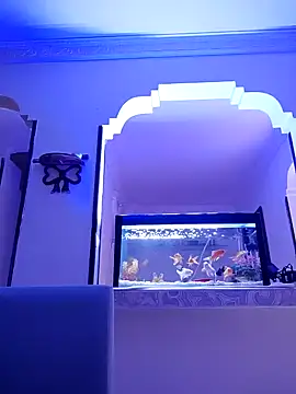 karlatasty online show from 11/18/25, 04:11