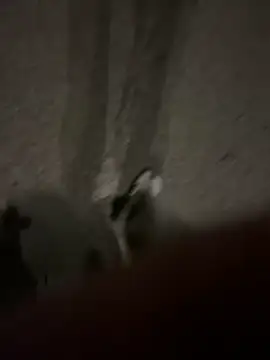 Pumxxxx online show from 11/30/25, 04:16