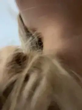 Chloe GraceeX online show from 02/02/26, 08:40