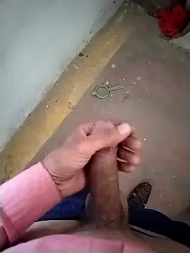 GDwrzsc2bfc online show from 11/29/25, 09:01