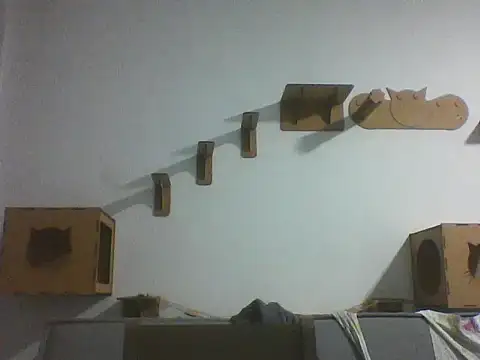 Temp7 online show from 02/25/26, 11:47