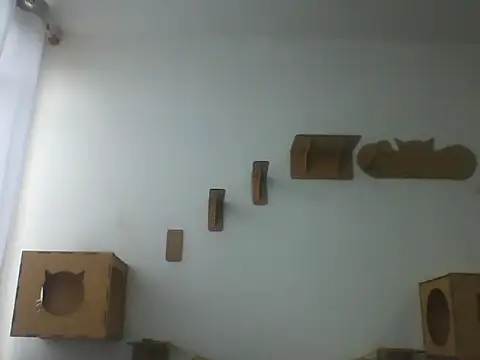 Temp7 online show from 03/08/26, 11:36