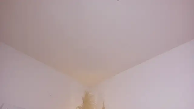 Snapshot of am_berr chatting on 12/13/25, 07:53 am berr online show from 12/13/25, 07:53