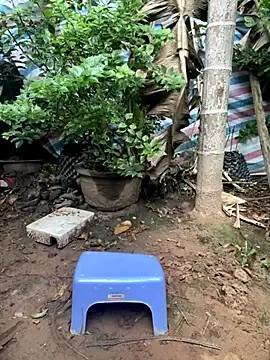 XndSeraphina online show from 12/03/25, 09:40