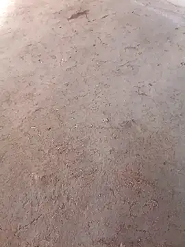 Snapshot of Nandani-758 chatting on 12/02/25, 10:09 Nandani-758 online show from 12/02/25, 10:09